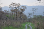 Tamranga Lake or Tamranga beel, Bongaigaon Tamranga Lake or Tamranga beel, Bongaigaon