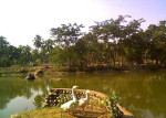 Nagshankar Temple, Tezpur