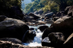 Hohua Picnic Spot, Goalpara