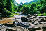 Hohua Picnic Spot, Goalpara