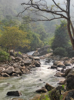 Hohua Picnic Spot, Goalpara