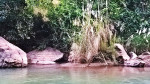 Topatoli Picnic Spot, Jagiroad