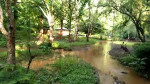 Nazirakhat Picnic Place, Sonapur
