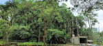 Nazirakhat Picnic Place, Sonapur