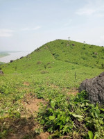 Baghbar Hill or Baghbar Picnic spot, Barpeta Baghbar Hill or Baghbar Picnic spot, Barpeta