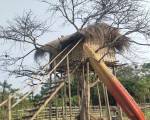 Baghmora Picnic Spot, Jorhat Baghmora Picnic Spot, Jorhat