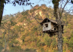 Chowki Picnic Spot Or Bhutani Chowki Picnic Spot