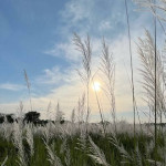 Kohua bon at Dima Hasao