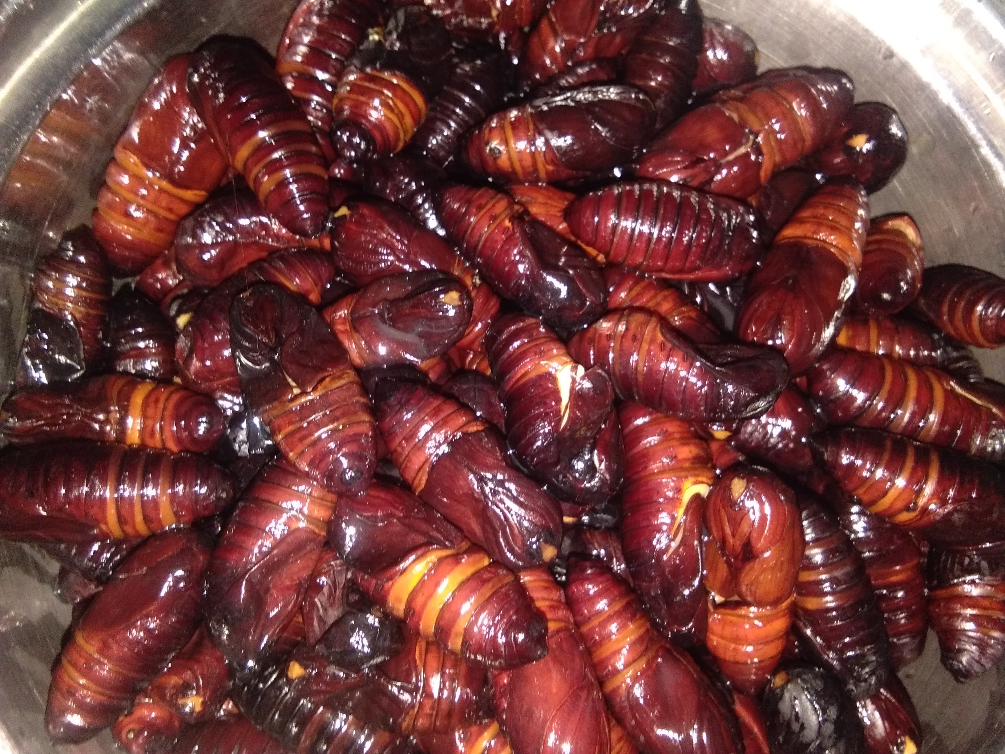 Muga Leta Or Silk Worm Recipe recipe