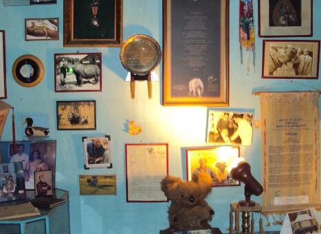 Uncle Robin's Children's Museum, Golaghat – A Window To Nature And Discovery tourist place in Assam