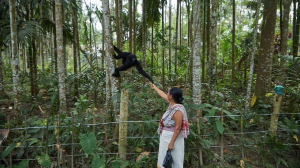 Barekuri Village, Tinsukia - Assam's Unique Monkey Village Of Harmony And Nature tourist place in Assam