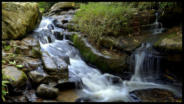 Nazirakhat Picnic Place, Sonapur – A Perfect Nature Escape Near Guwahati tourist place in Assam