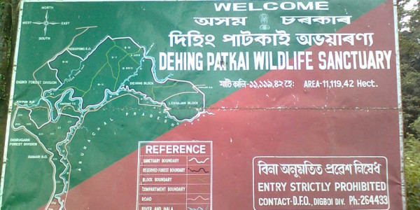 Dehing Patkai National Park tourist place in Assam