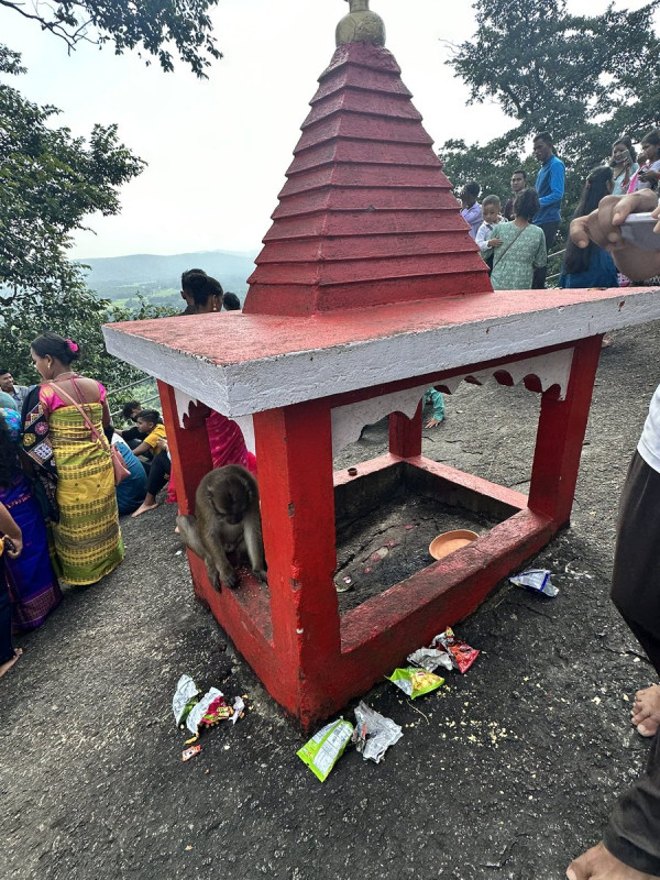 Tukreswari Temple, Goalpara – History, Significance, Timings & Travel Guide tourist place in Assam