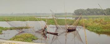 Charan Beel, Morigaon  - Freshwater Wetland & Birding Destination In Assam tourist place in Assam