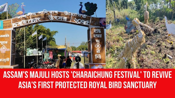 Charaichung Royal Bird Sanctuary, Majuli: Asia's First Protected Bird Sanctuary In Assam. tourist place in Assam