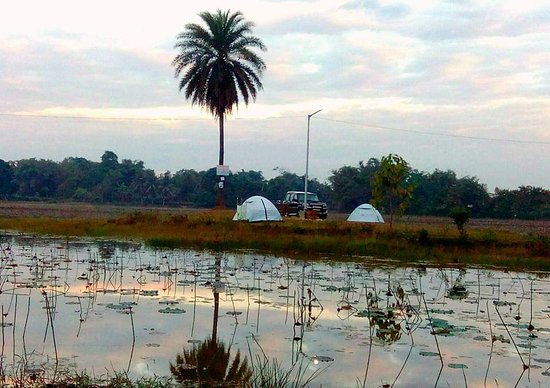 Jugibari Beel Golaghat Assam - Scenic Lake, Birdwatching & Rural Tourism tourist place in Assam
