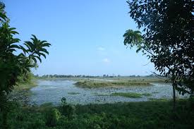 Jerenga Pothar, Sivasagar – Historic Land Of Sati Joymoti's Sacrifice In Assam tourist place in Assam