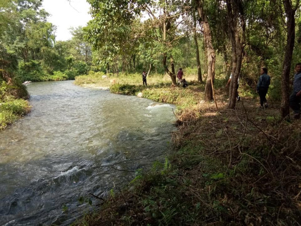 Gethsemane Man-made Forest, Udalguri - Assam's Inspiring Community-created Green Paradise tourist place in Assam