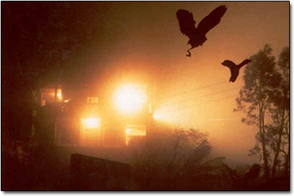 Jatinga tourist place in Assam