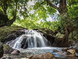 Kuhi Jhora Waterfall, Bongaigaon tourist place in Assam
