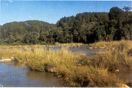 Marat Longri Wildlife Sanctuary tourist place in Assam