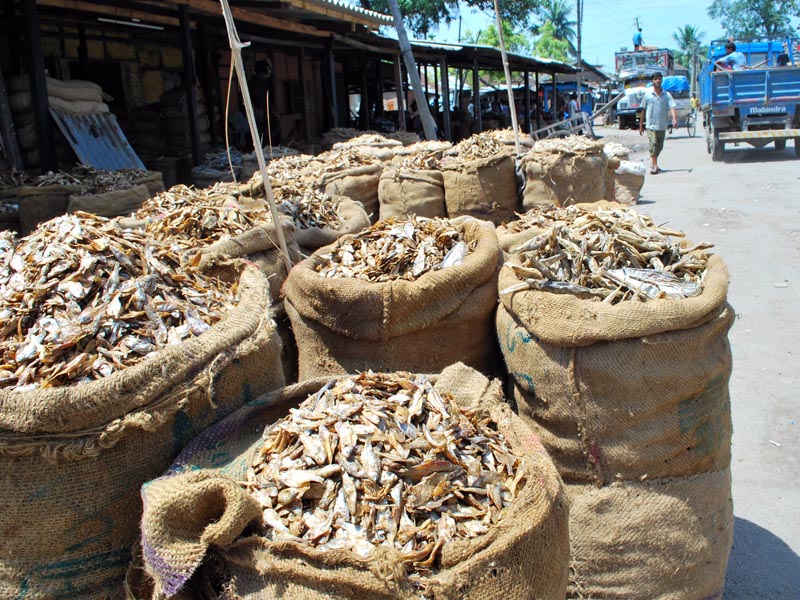 Jagiroad Dry Fish Market tourist place in Assam