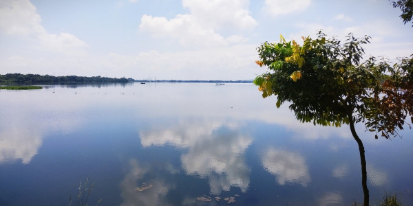 Tamranga Lake (beel)  - A Hidden Gem Of Natural Beauty And Biodiversity In Bongaigaon tourist place in Assam