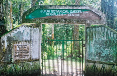 Jokai Reserve Forest tourist place in Assam