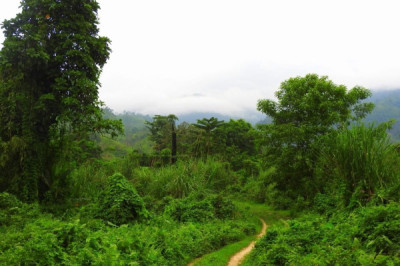 Maliyata Reserve Forest Assam – Trekking tourist place in Assam