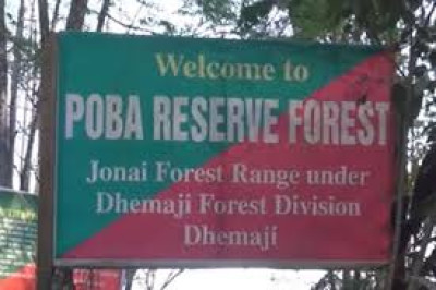 Poba Reserve Forest Assam – Location tourist place in Assam