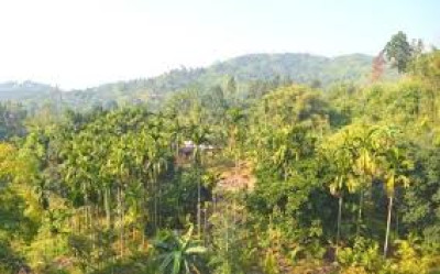 Rani Garbhanga Reserve Forest tourist place in Assam