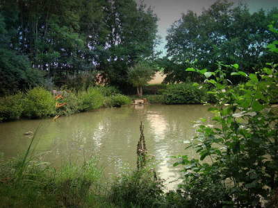 Baladev Pukhuri tourist place in Assam