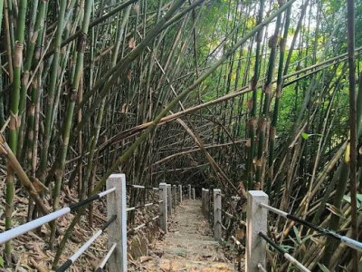 Samparidisa Eco tourist place in Assam