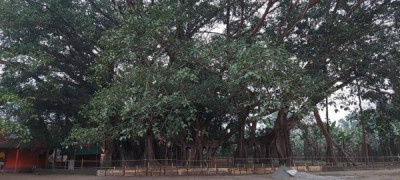 Jalikhata Kalibari Than tourist place in Assam