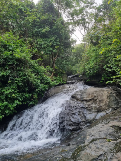 Borjhora Waterfall tourist place in Assam