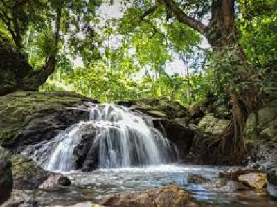 Kuhi Jhora Waterfall, Bongaigaon — tourist place in Assam