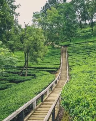 Tipam Village, Dibrugarh - Historical Ahom Site And Tai Phake Heritage Village — tourist place in Assam