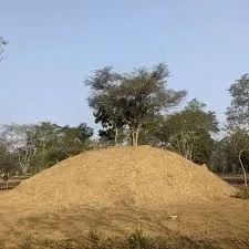 Bahikhowa Maidam, Dibrugarh — tourist place in Assam