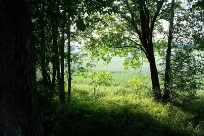 Lekai Chetia Maidam, Dibrugarh — tourist place in Assam