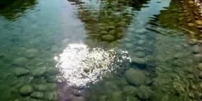 Japixojia Lake, Golaghat - Scenic Beel And Bird Watching Spot — tourist place in Assam