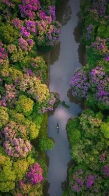 Kakodonga River Bend, Golaghat - Scenic Riverside Picnic Spot — tourist place in Assam