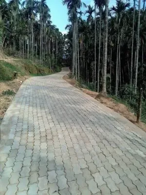Kalibheti Village tourist place in Assam