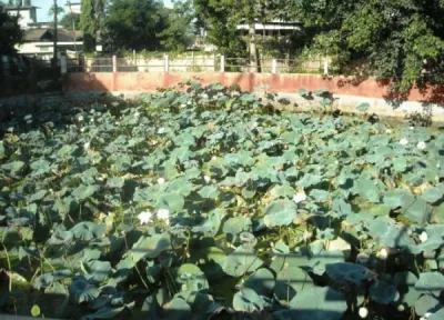 Bongal Pukhuri tourist place in Assam