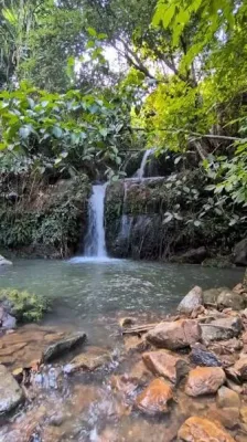 Nelsum Waterfall - Hidden Natural Attraction In Jorhat — tourist place in Assam
