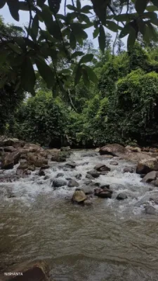 Jimirigaon Waterfall, Chandubi - Location And Travel Guide — tourist place in Assam