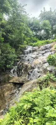 Tetelia Waterfall, Sonapur - Location, Forest Trek And Travel Guide — tourist place in Assam