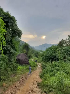 Kopili Rani Picnic Spot, Guwahati - Waterfall, Location And Travel Guide — tourist place in Assam