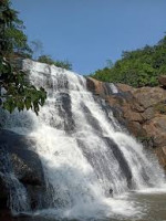 Shankar Gola Forest Reserve - Bongaigaon