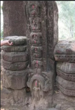 Tamreswari Temple, Tinsukia tourist place in Assam